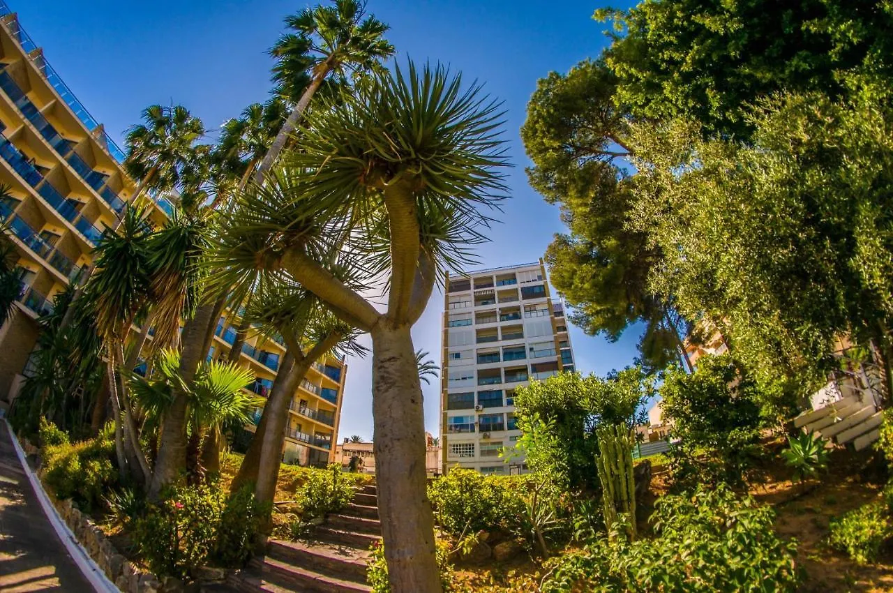 بينالماذينا Alay Apartment & Pool 2 Bedroom